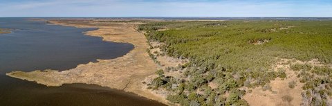 50 Acres Hunting Land Sanford