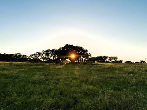 Land, Junction, TX