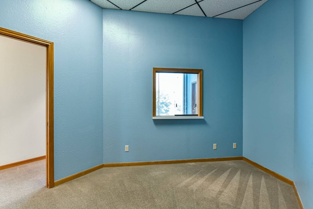 Picture 8