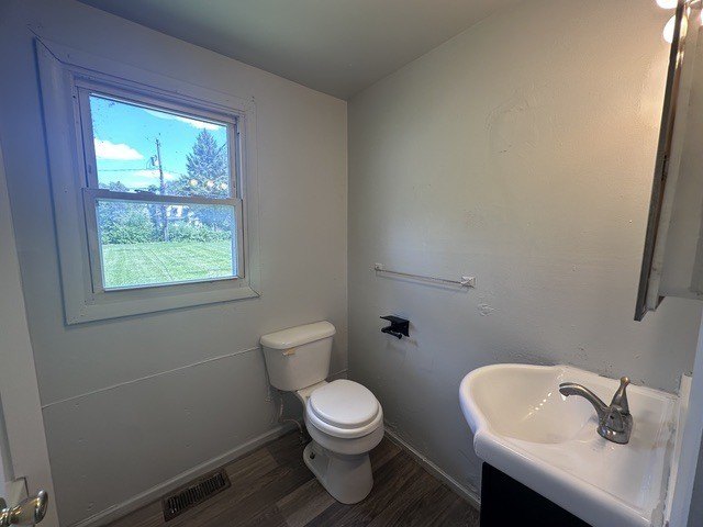 Picture 6