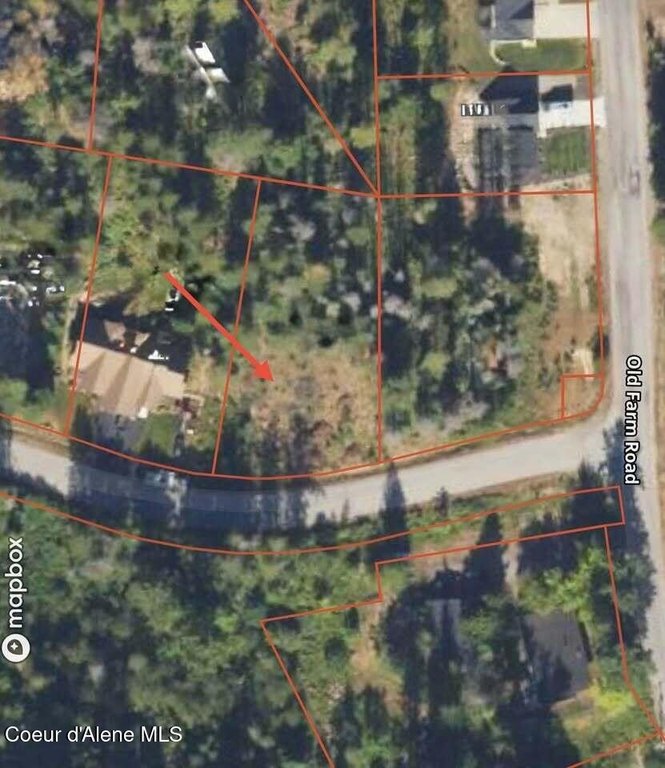 Picture 3