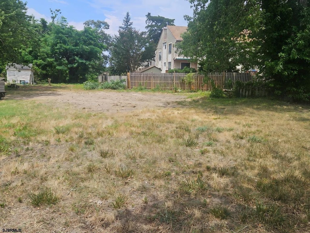 Picture 2