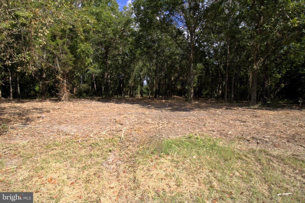 Picture 17