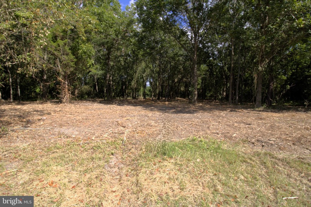 Picture 18