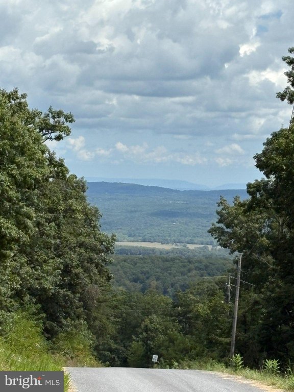 Picture 3
