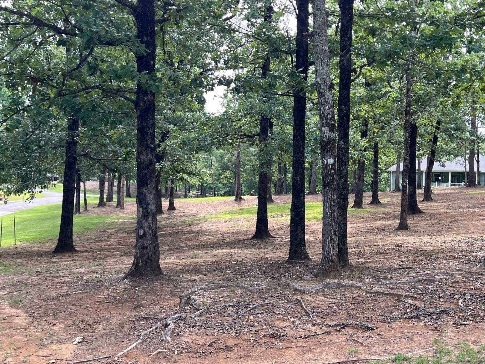 Residential Land in Beau Chene