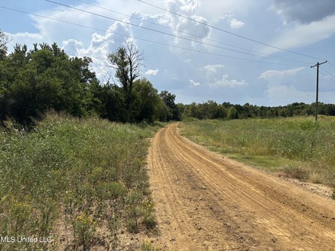 95 Acres Hunting Land Opportunity