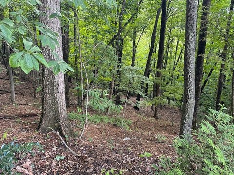 Wooded Lot in Sapphire, NC