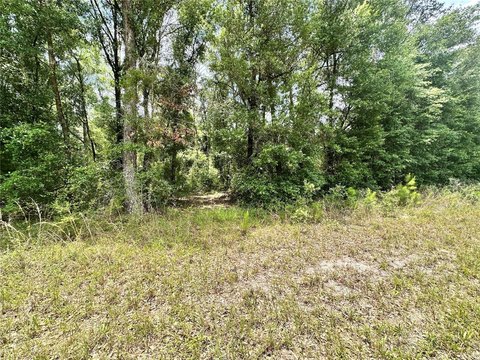 Wooded Residential Land Lot