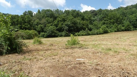 Land Near Celina, Tennessee