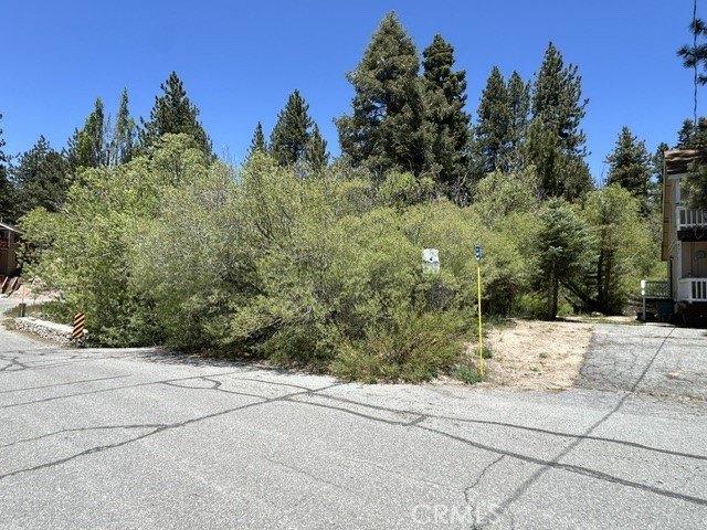 Picture 11