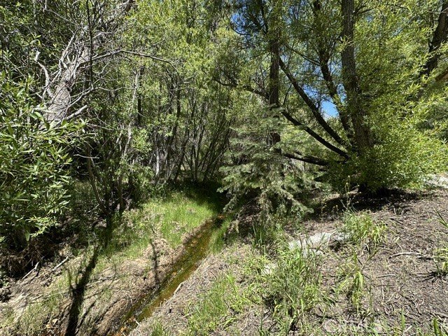 Picture 8