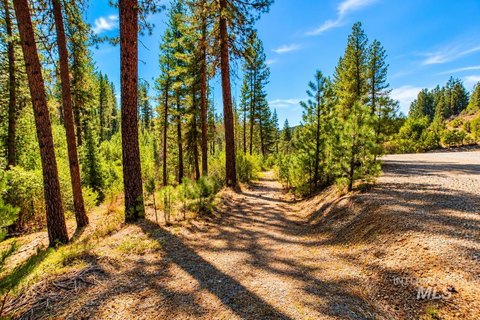 3-Acre Wooded Mountain Property