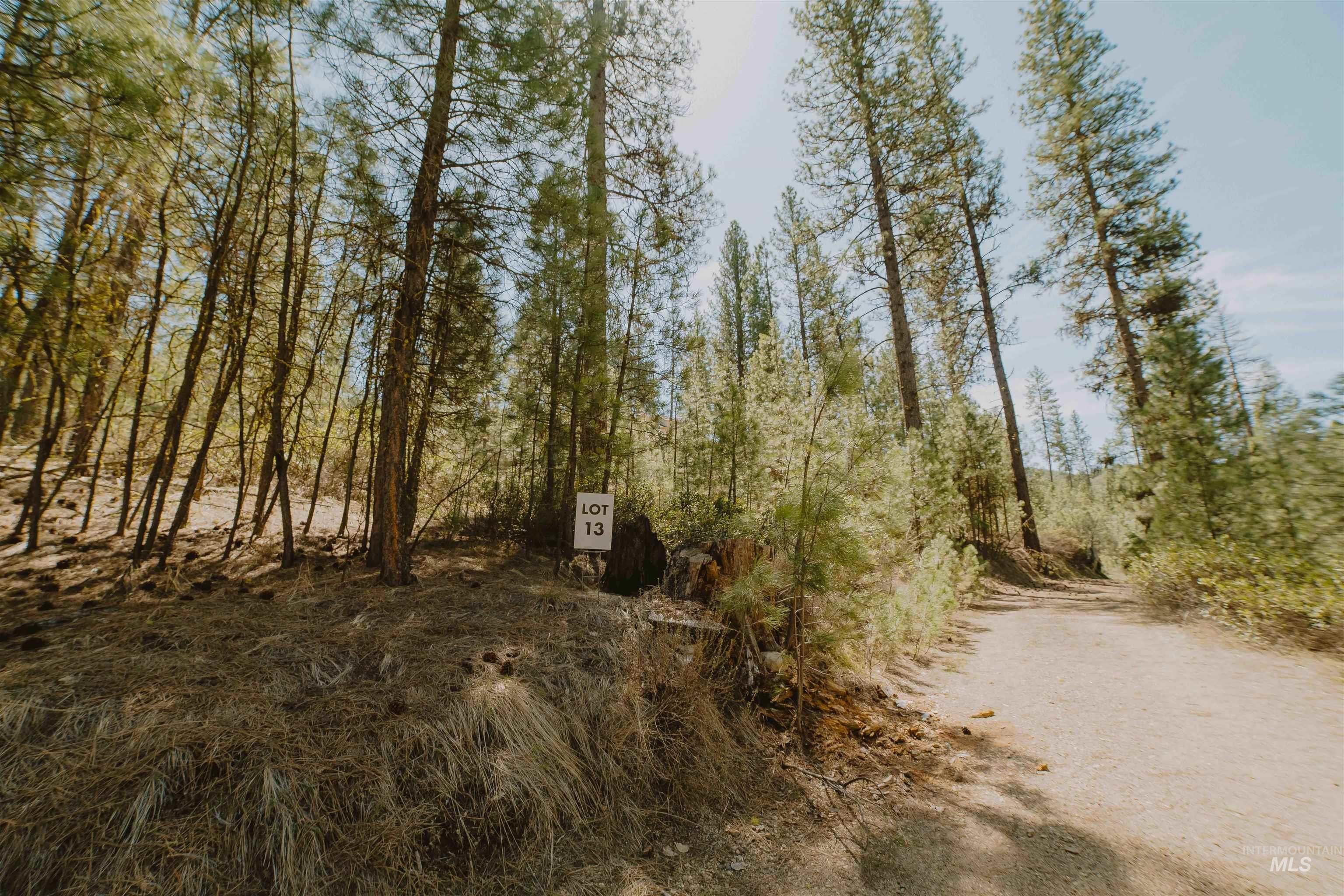 3-Acre Wooded Mountain Property