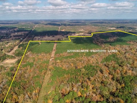 289 Acres Wooded Hunting Retreat