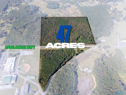 Hokes Bluff Acreage Opportunity