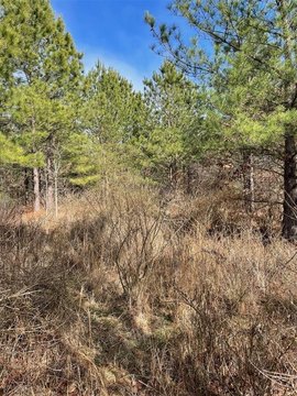 LAND - Broken Bow, OK