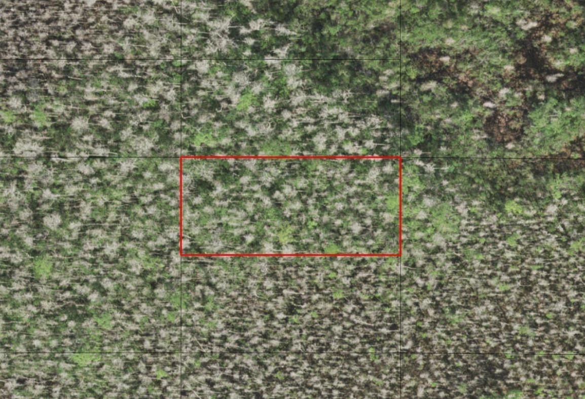 Secluded Land in St. Cloud