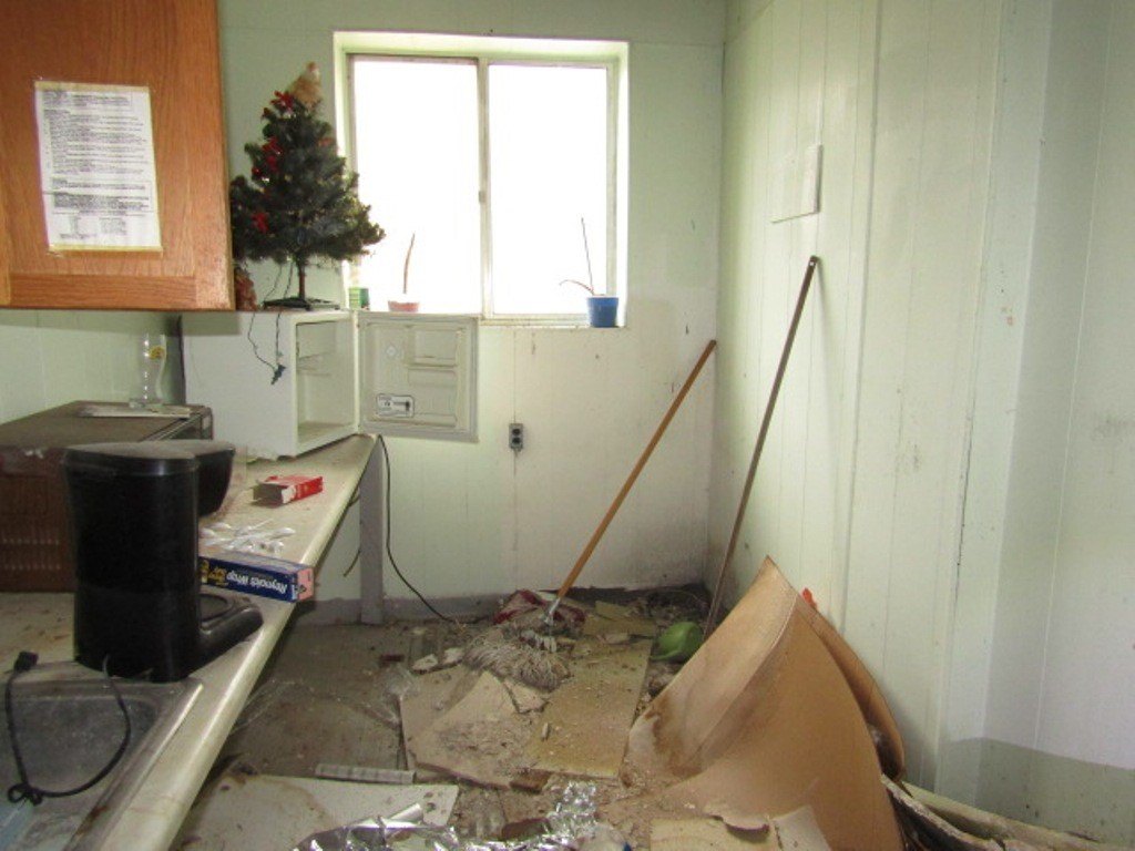 Picture 12