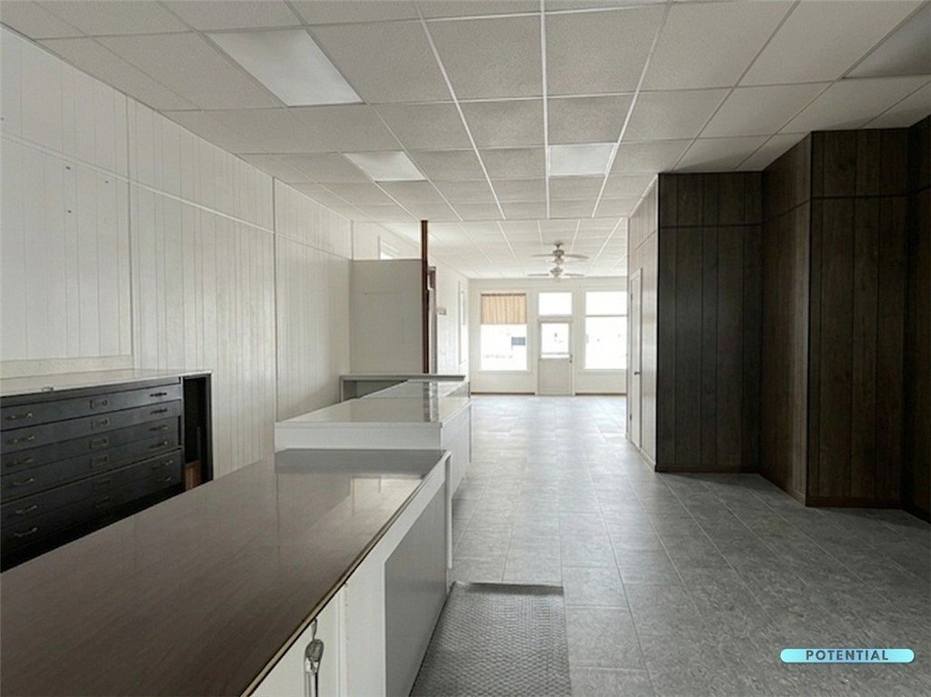 Picture 15