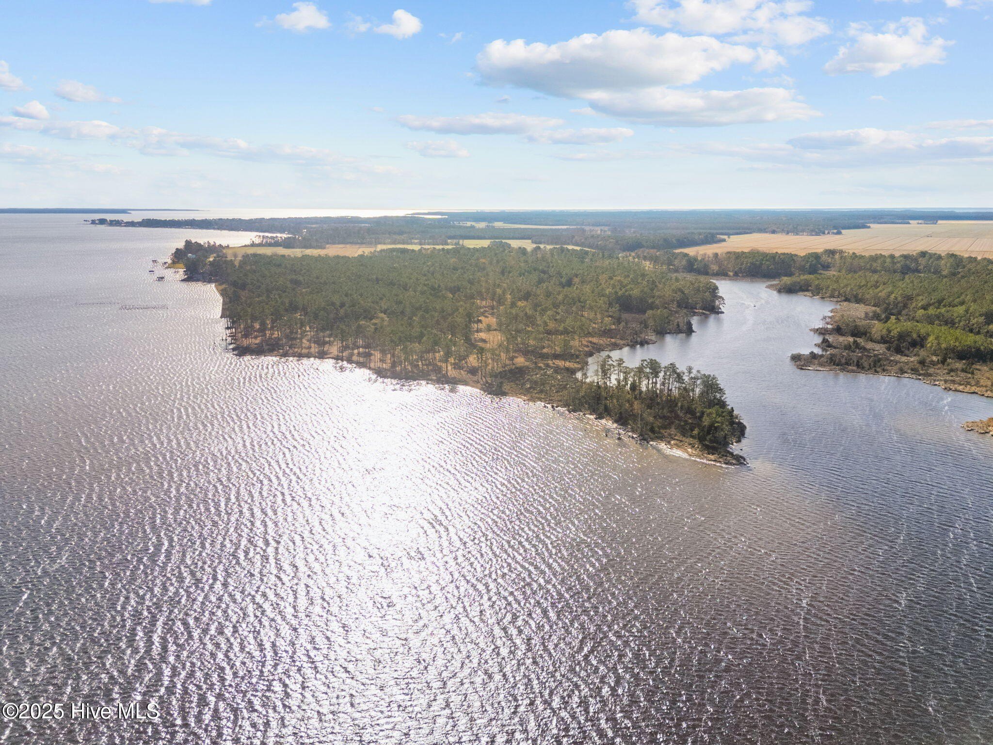 Waterfront Land on Pungo River