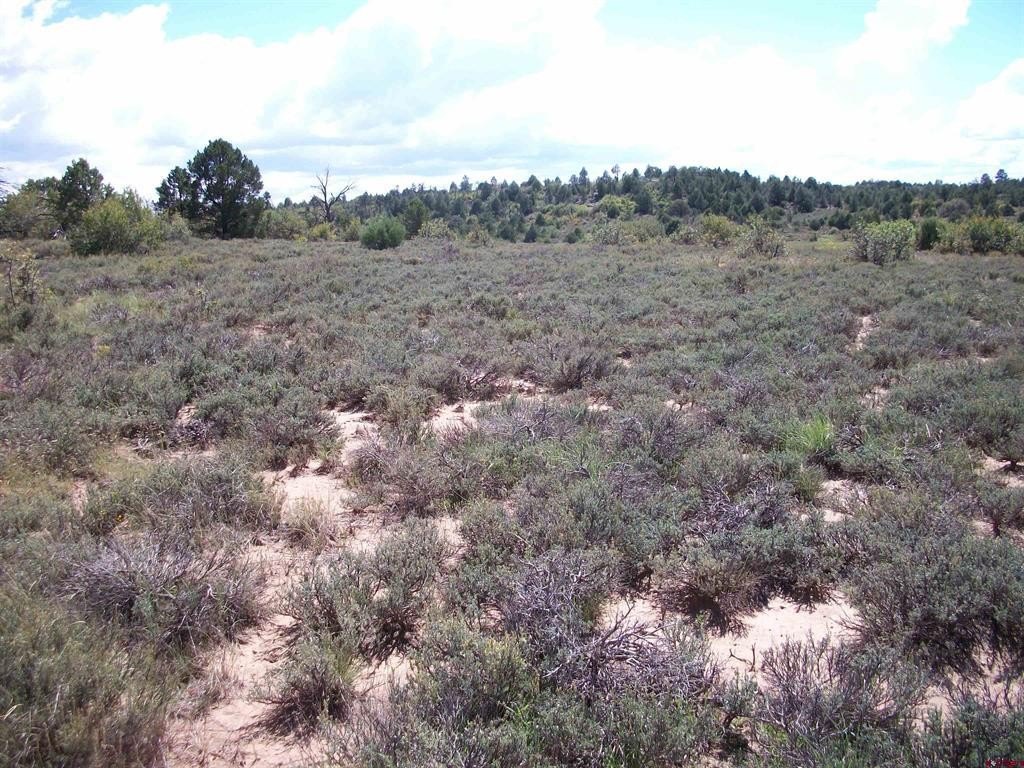 Picture 33
