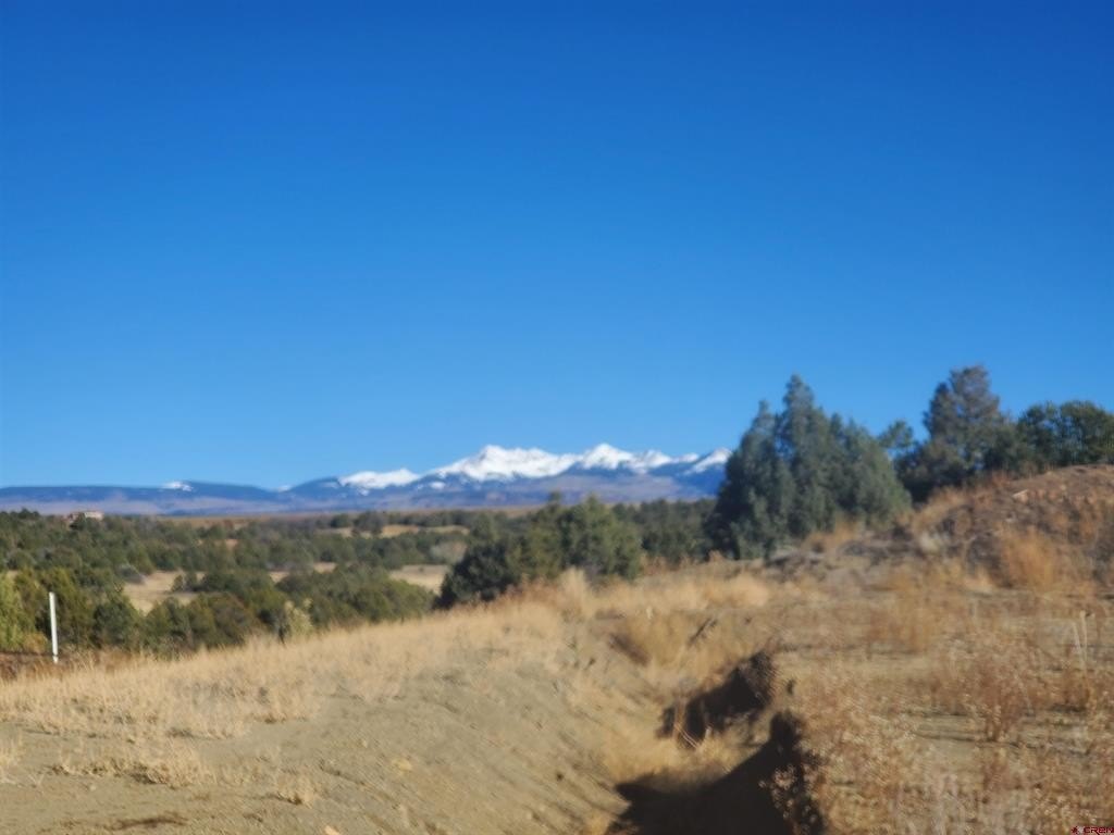 Picture 22