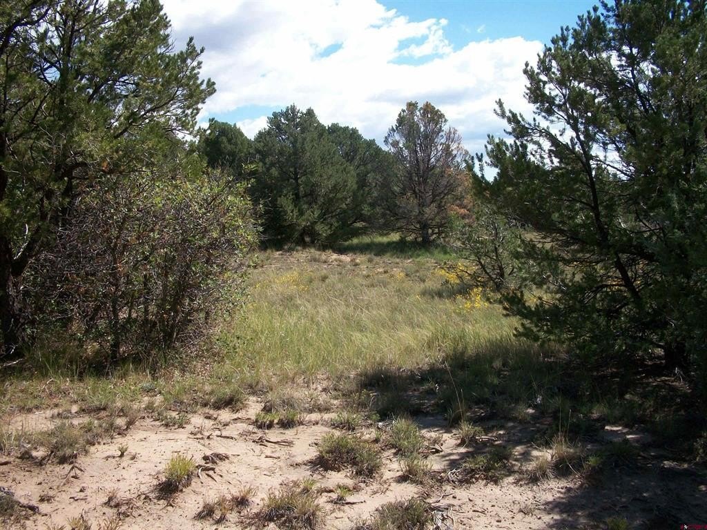 Picture 12