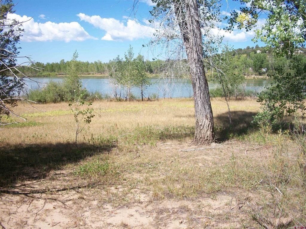 Picture 14