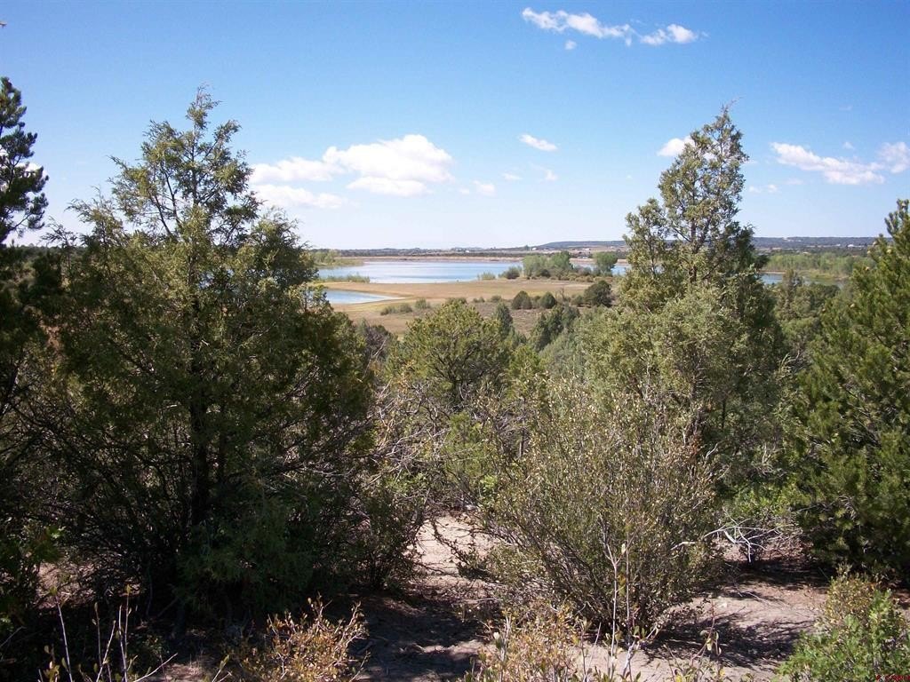 Mancos, CO Land For Sale