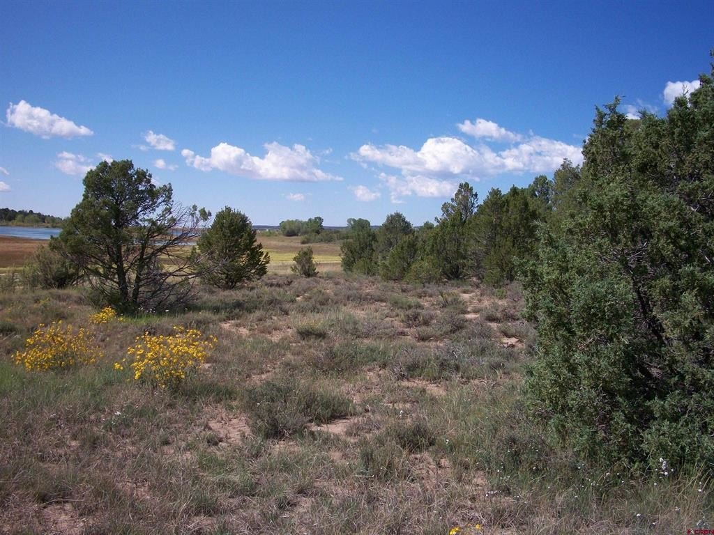 Picture 16
