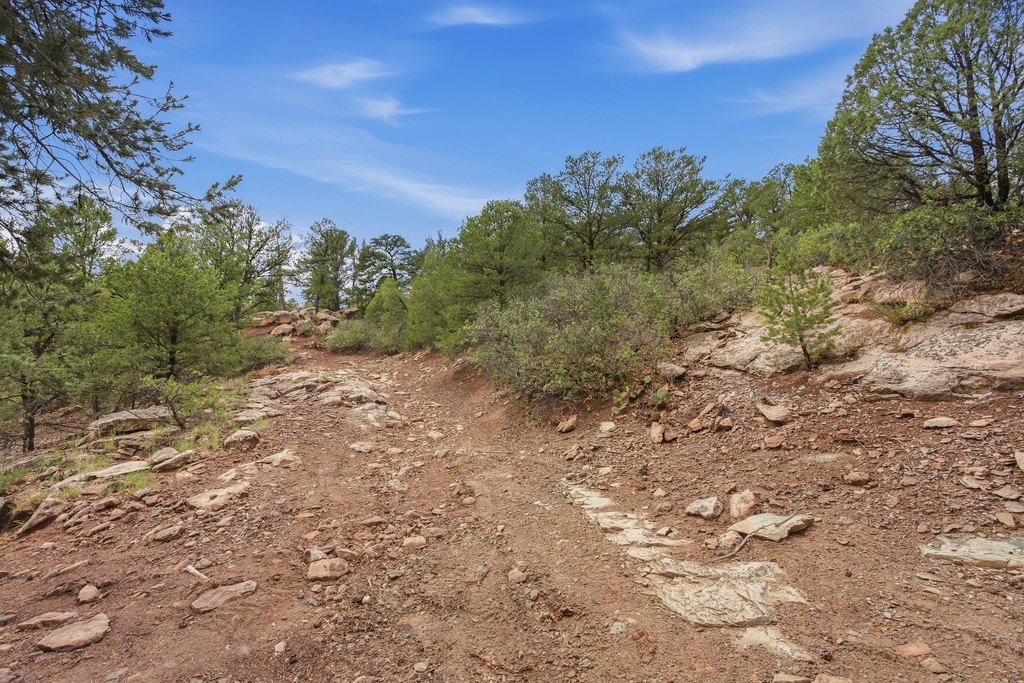 Picture 32