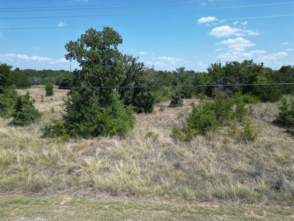 Picture 12