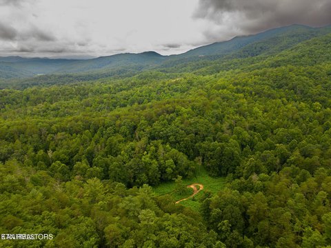 LAND - Sevierville, TN