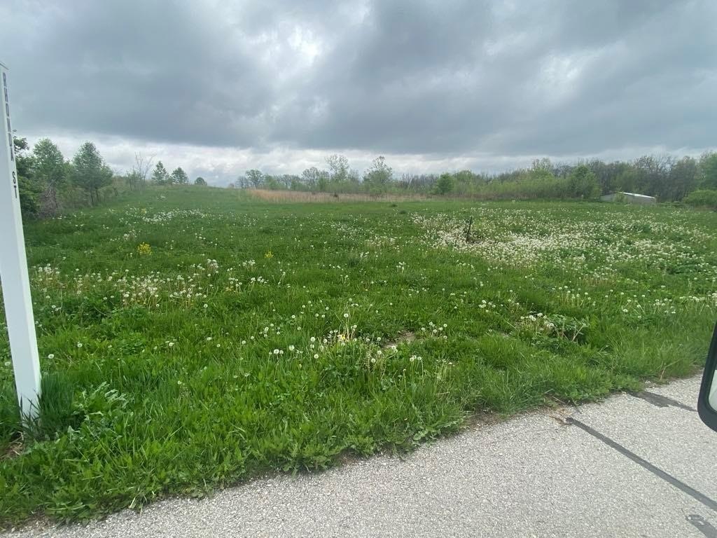 Picture 9