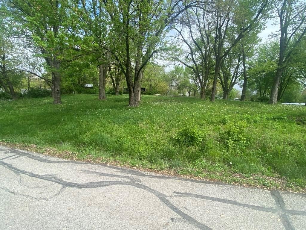 Picture 7