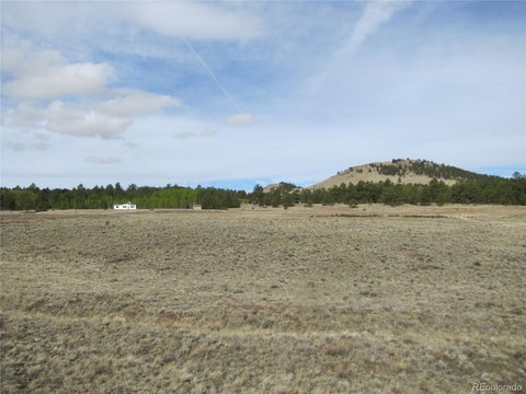 Hartsel Land with Mountain Views
