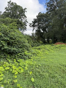 Residential Land in Spartanburg, SC