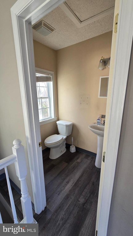 Picture 14