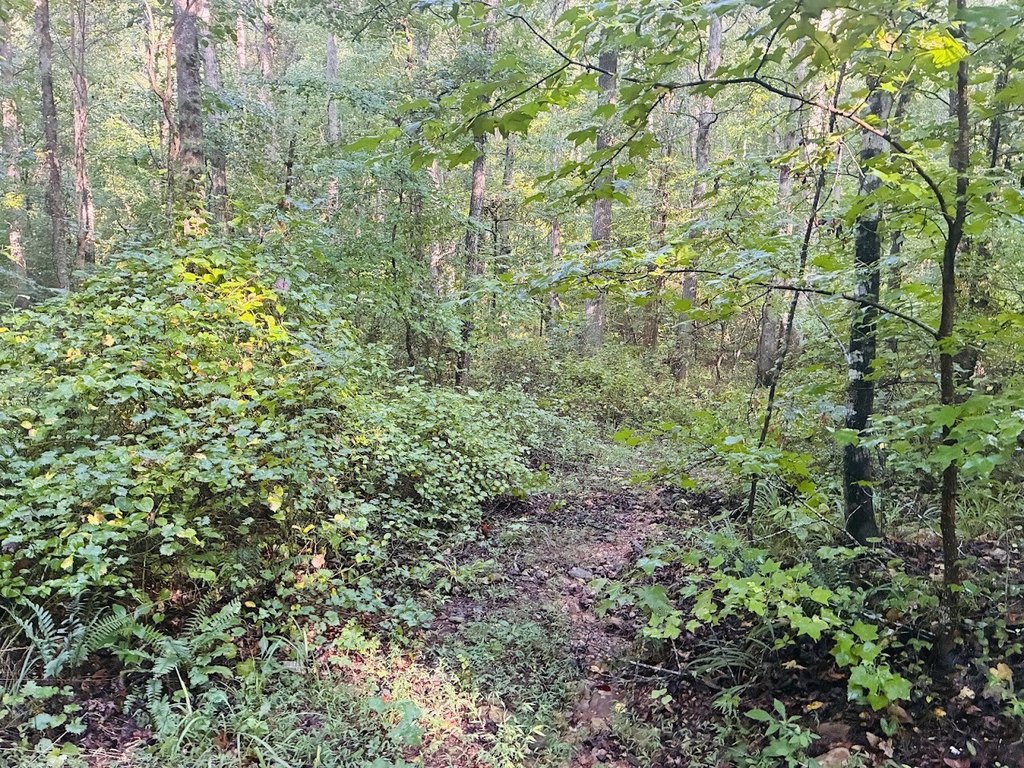 Picture 29