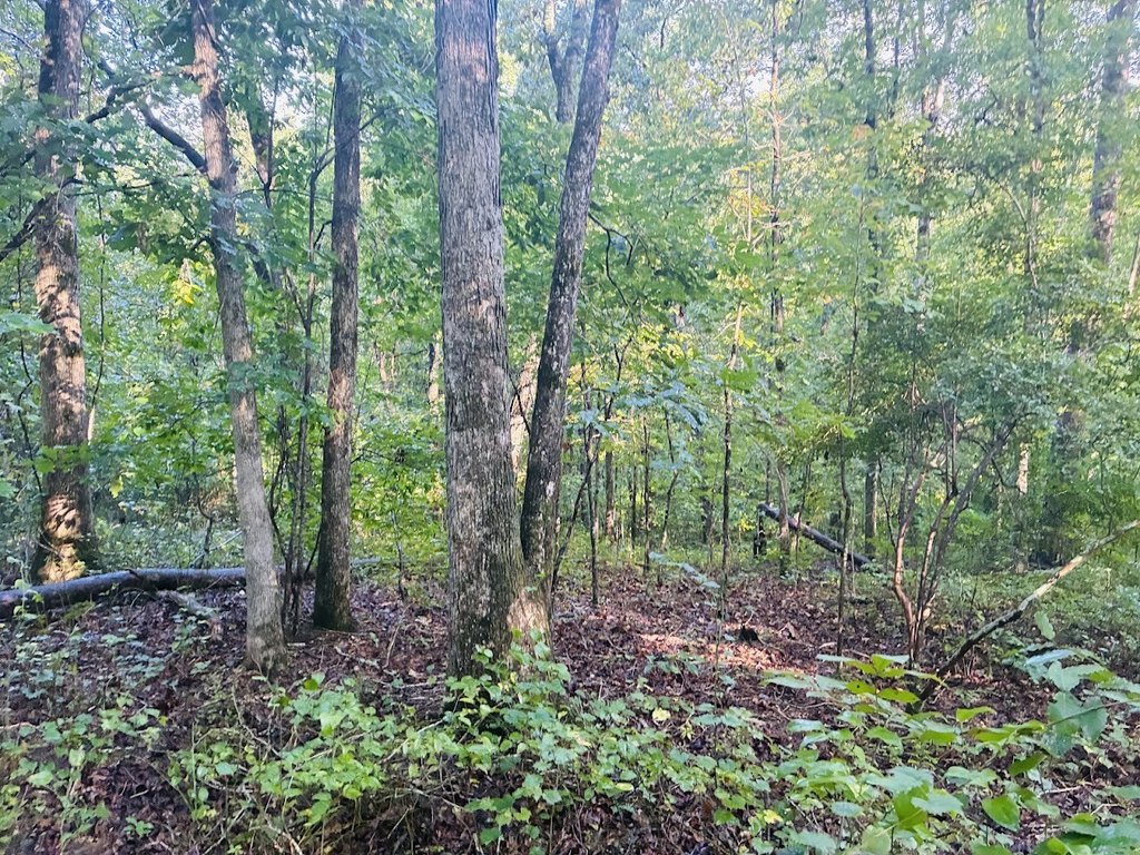 Picture 25