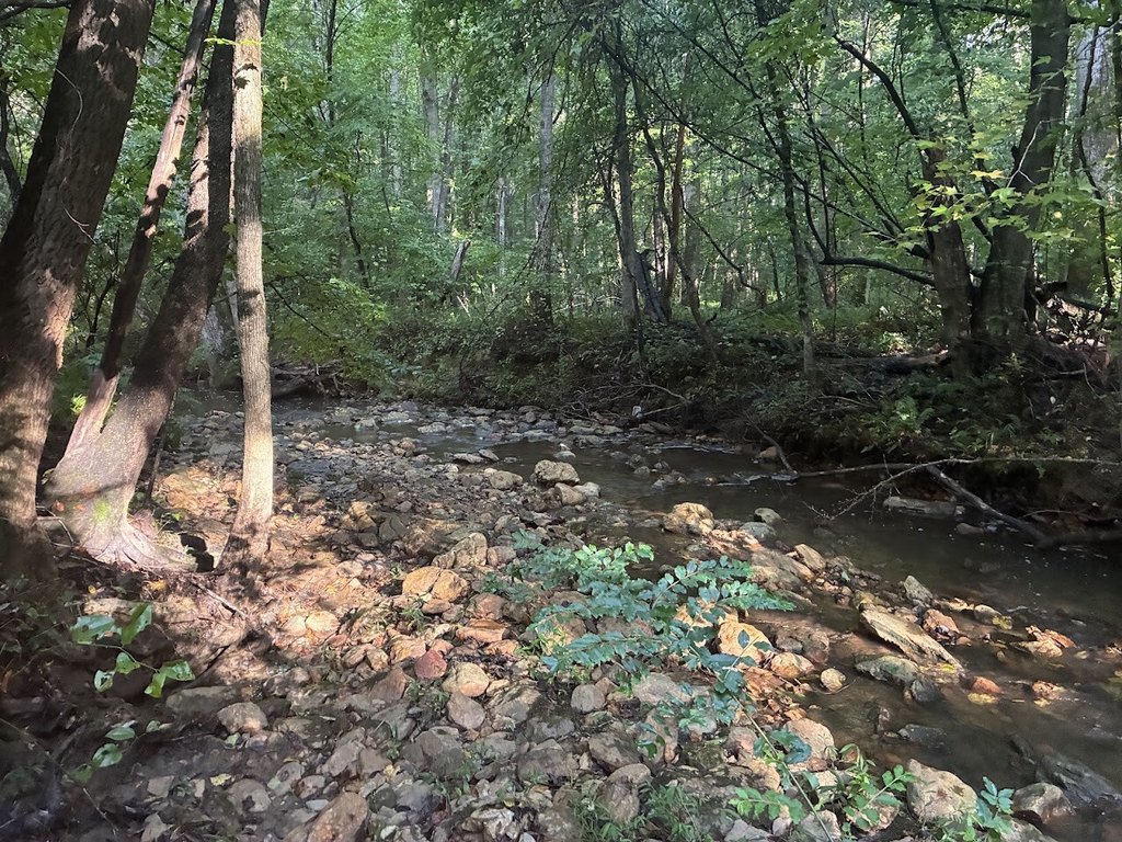 Picture 30