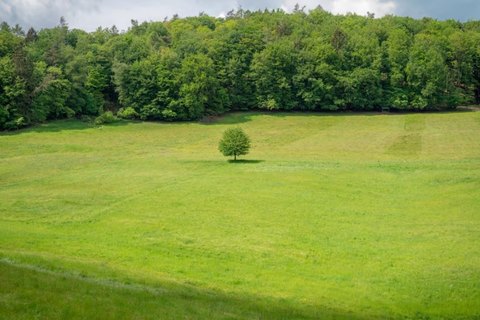 LAND - Eads, TN