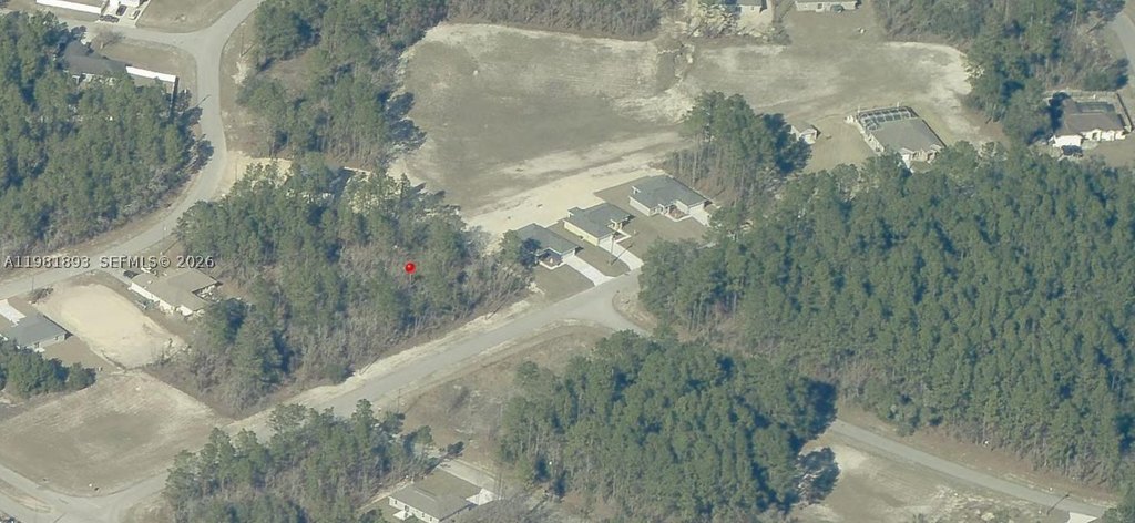 Picture 3