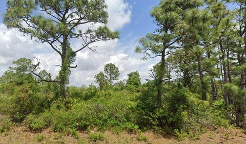 Land, PORT CHARLOTTE, FL