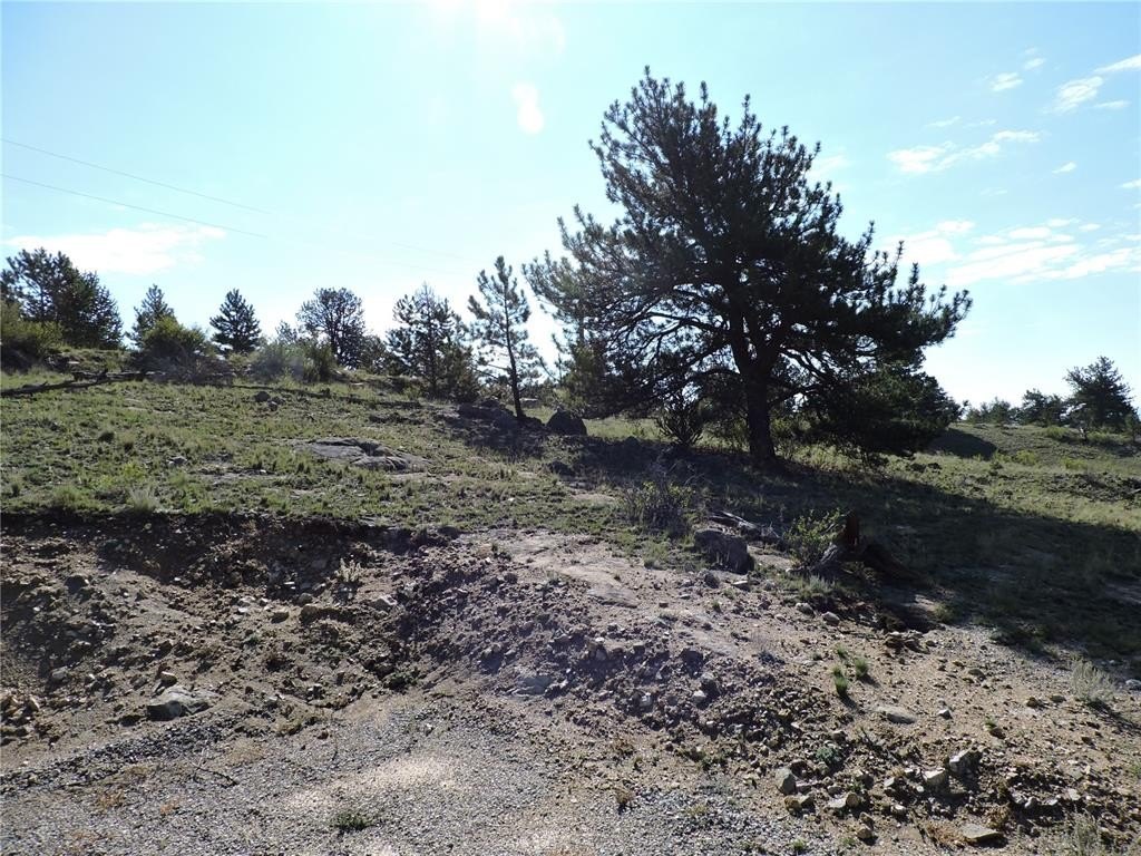 Picture 18