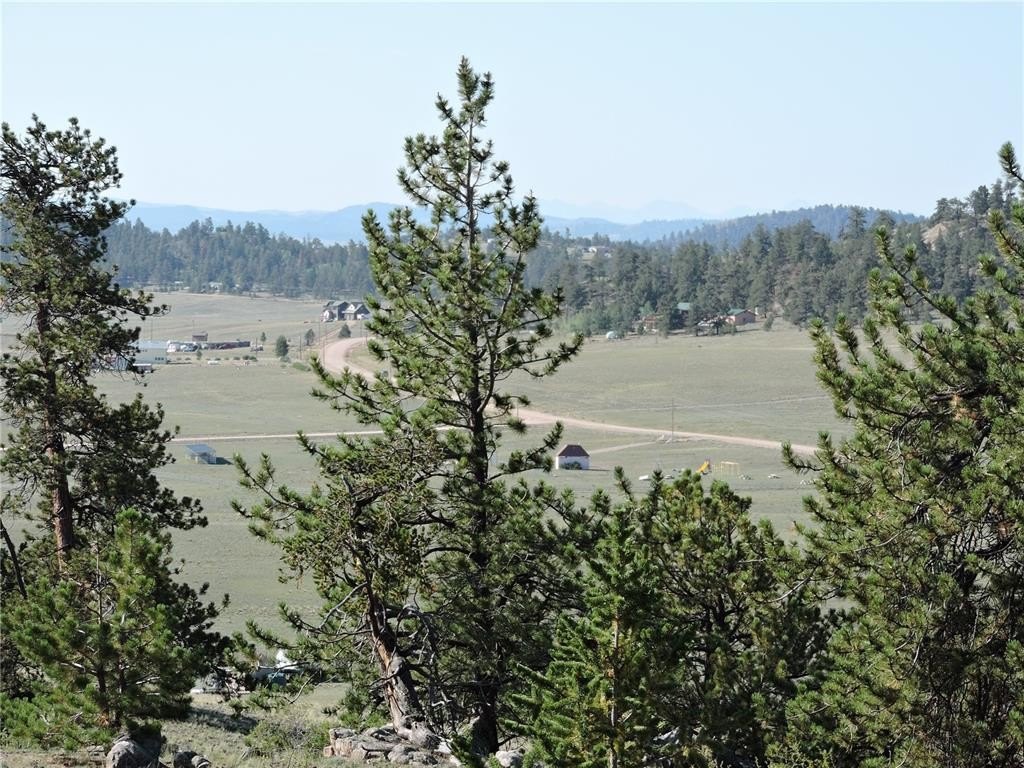 Picture 10
