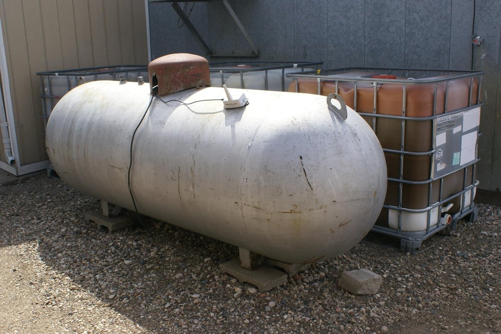 Picture 8