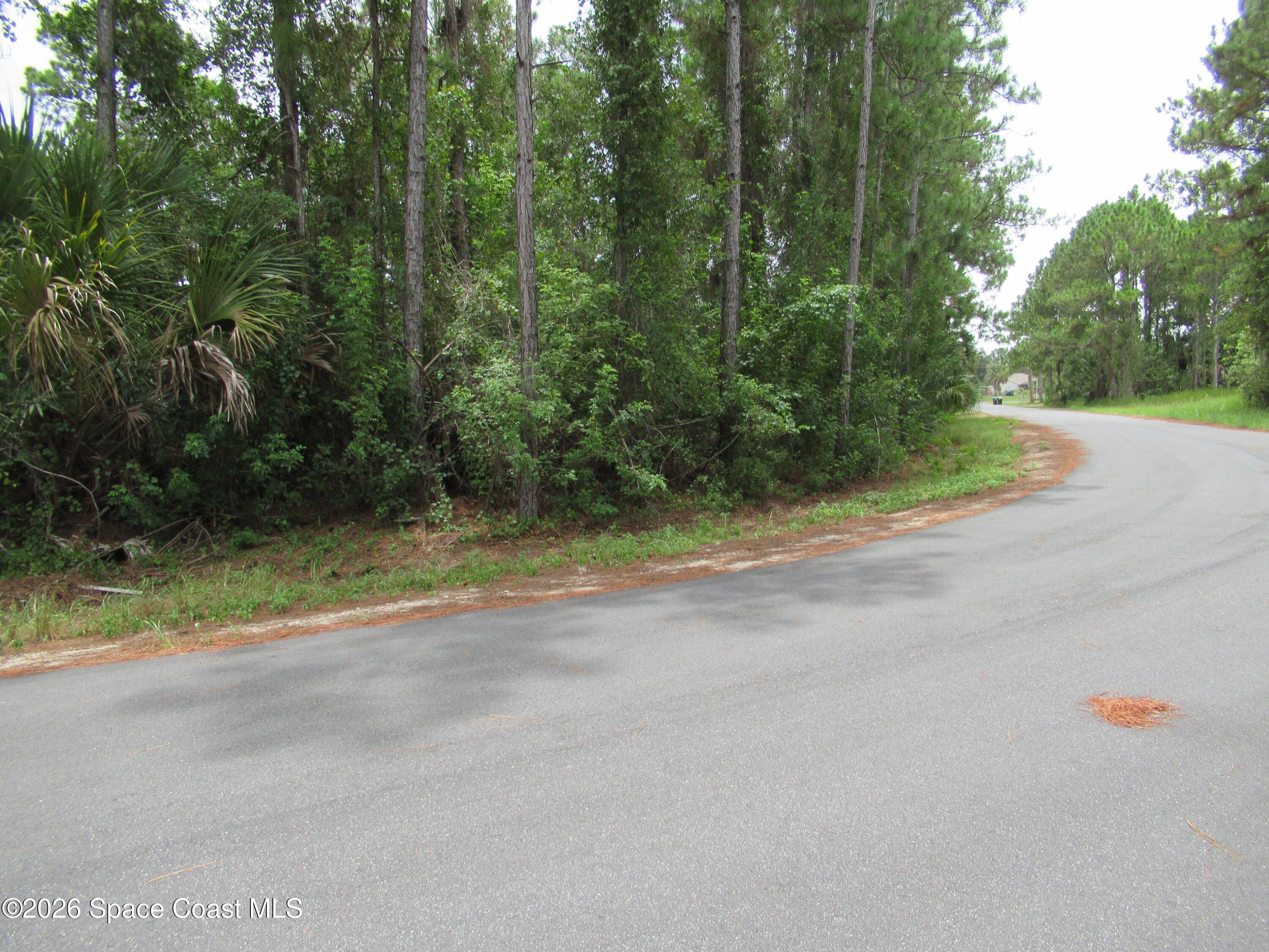 Palm Bay Land For Sale