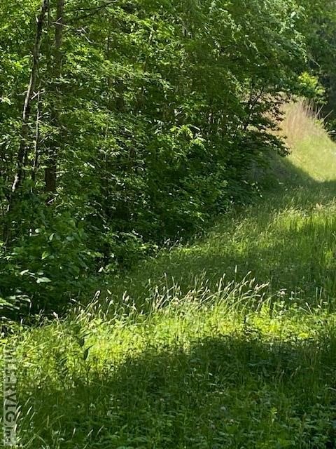 Picture 8